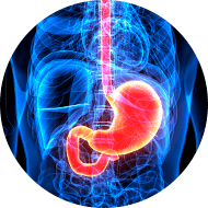 Cirurgia do Estômago